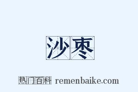 沙枣是什么意思的图片